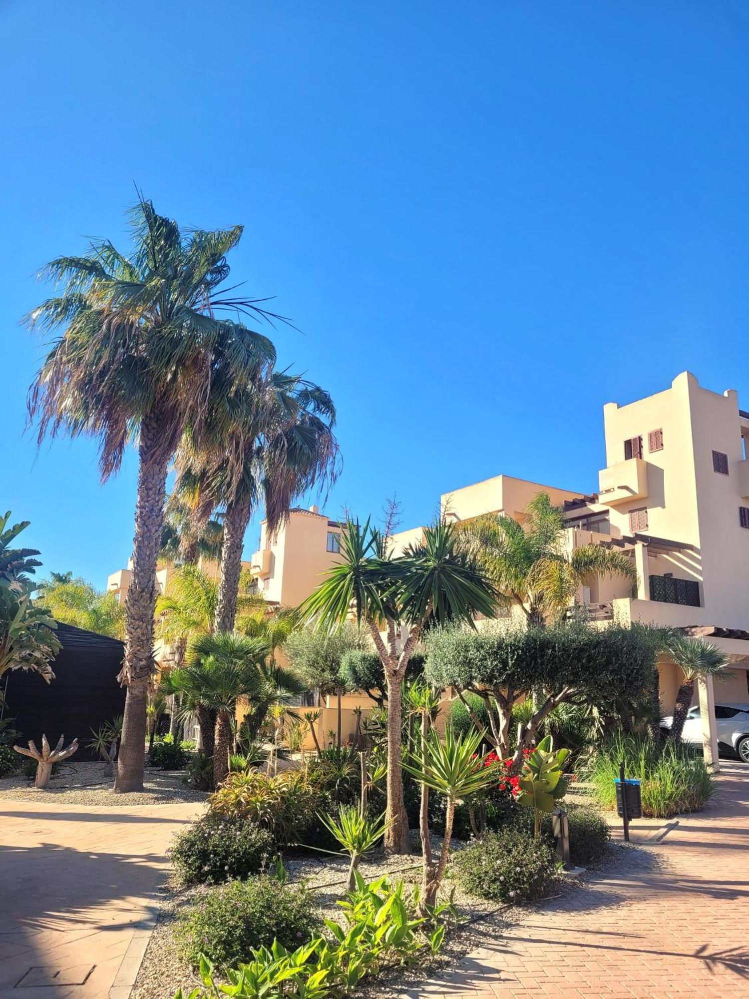 Bajo Con Una Terraza Espectacular Al Lado De La Playa Y Con Acceso Directo A La Piscina! Los Amarguillos Eksteriør billede